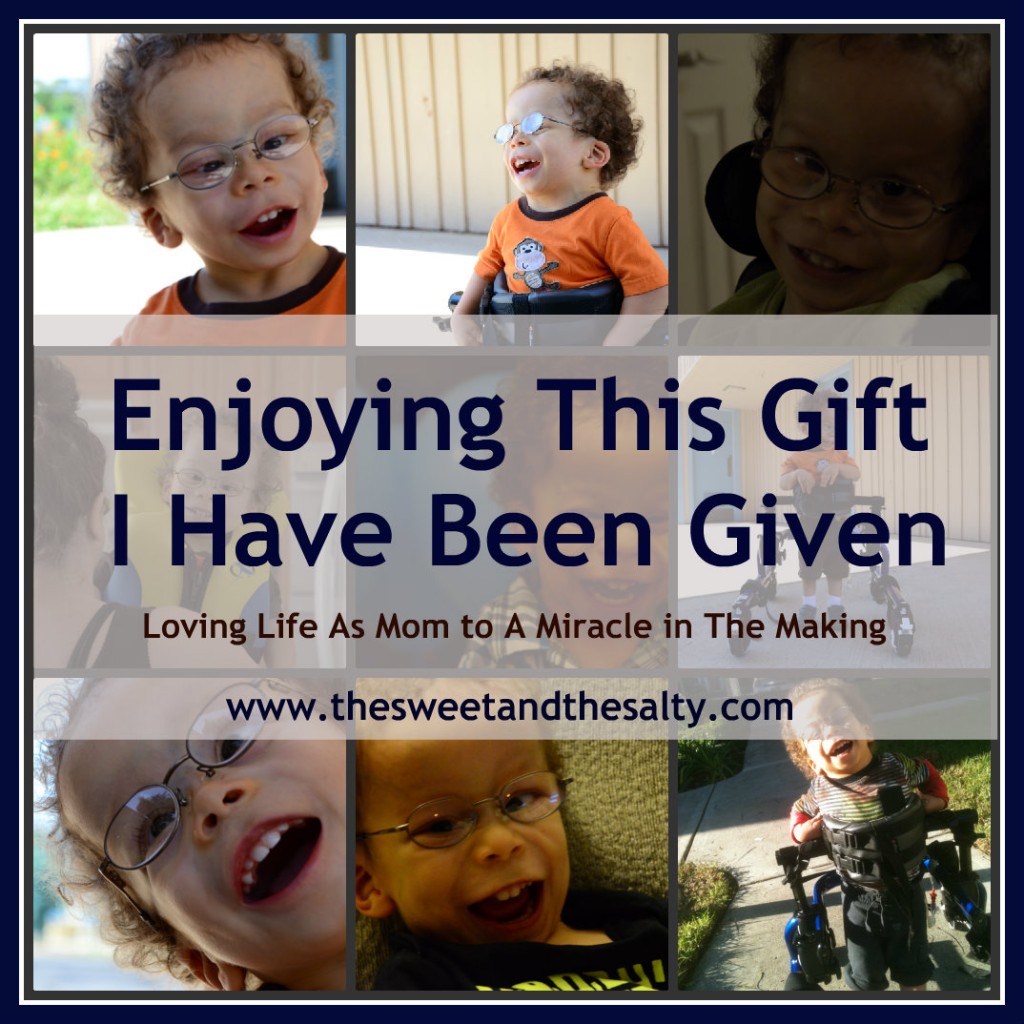 Enjoying the miracle of special needs parenting www.thesweetandthesalty.com