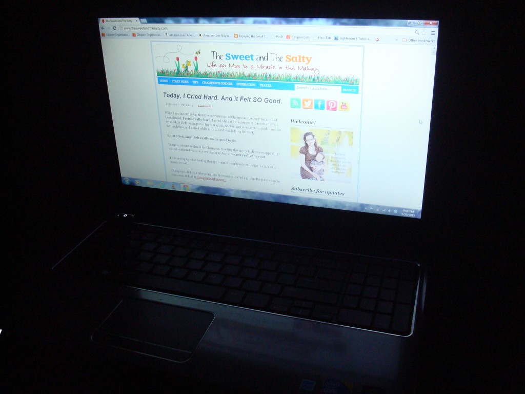 www.thesweetandthesalty.com blog photo